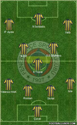 Fenerbahçe SK Formation 2018