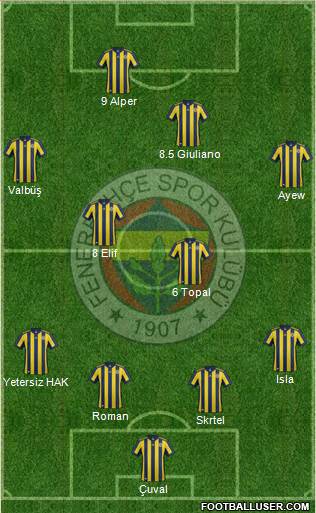 Fenerbahçe SK Formation 2018