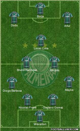 SE Palmeiras Formation 2018