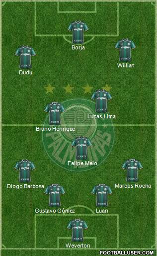SE Palmeiras Formation 2018