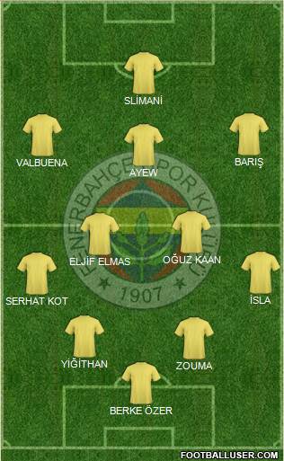 Fenerbahçe SK Formation 2018