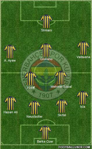 Fenerbahçe SK Formation 2018