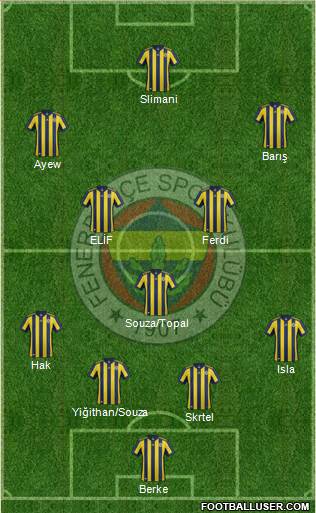 Fenerbahçe SK Formation 2018