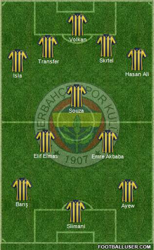 Fenerbahçe SK Formation 2018