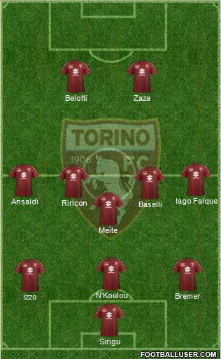 Torino Formation 2018