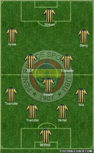 Fenerbahçe SK Formation 2018
