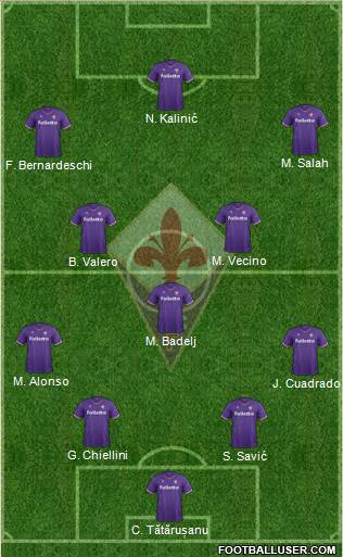 Fiorentina Formation 2018