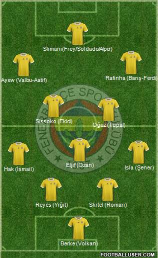 Fenerbahçe SK Formation 2018