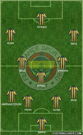 Fenerbahçe SK Formation 2018