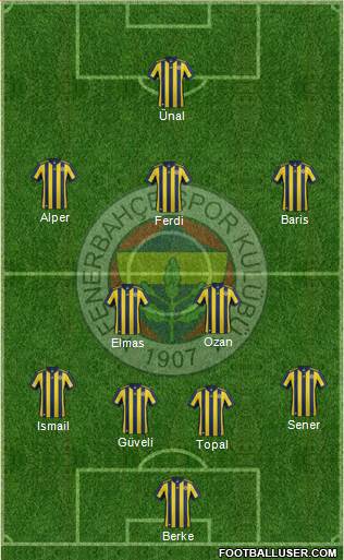 Fenerbahçe SK Formation 2018