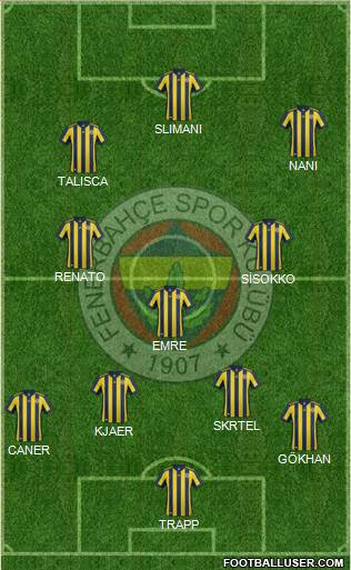 Fenerbahçe SK Formation 2018