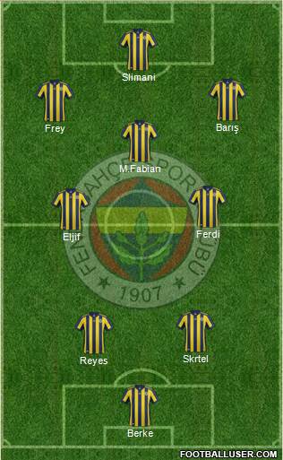 Fenerbahçe SK Formation 2018