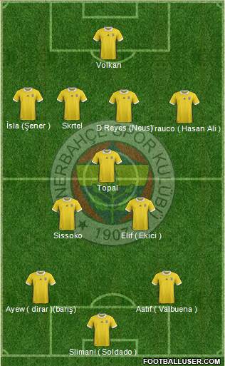 Fenerbahçe SK Formation 2018