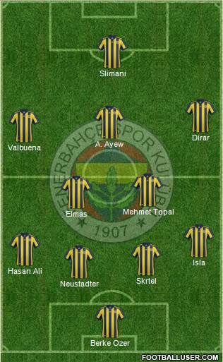Fenerbahçe SK Formation 2018