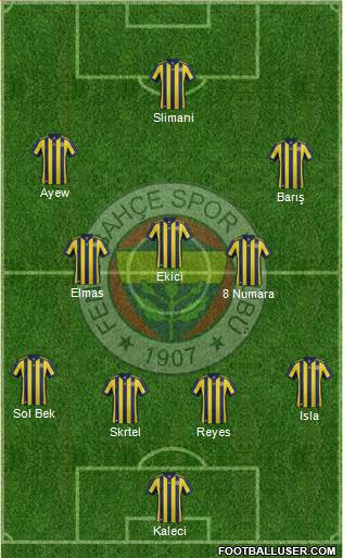 Fenerbahçe SK Formation 2018