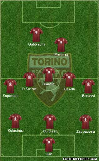 Torino Formation 2018