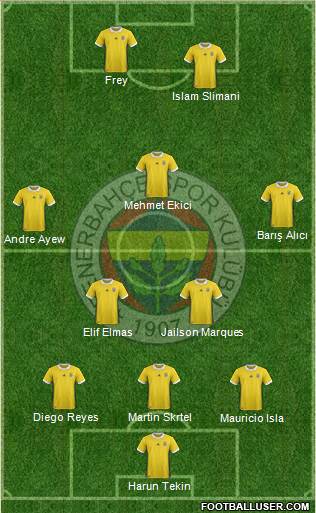 Fenerbahçe SK Formation 2018