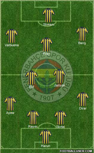 Fenerbahçe SK Formation 2018