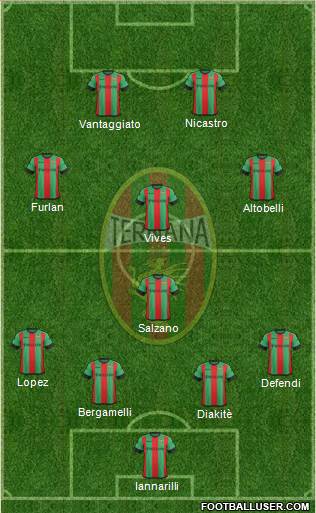 Ternana Formation 2018