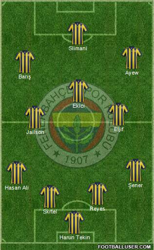 Fenerbahçe SK Formation 2018