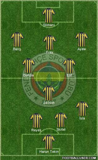 Fenerbahçe SK Formation 2018