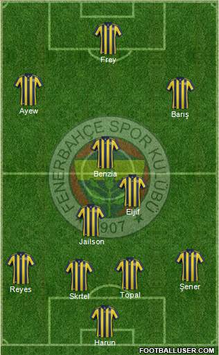 Fenerbahçe SK Formation 2018