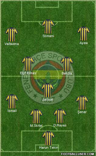 Fenerbahçe SK Formation 2018