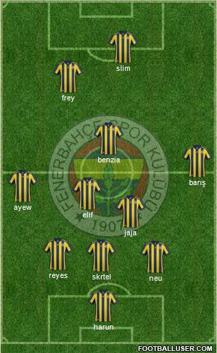 Fenerbahçe SK Formation 2018