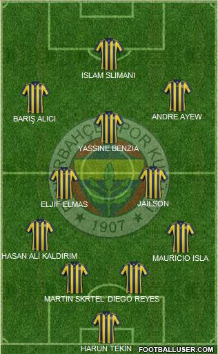 Fenerbahçe SK Formation 2018