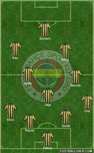 Fenerbahçe SK Formation 2018