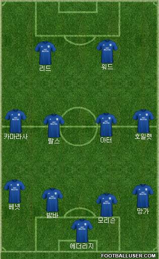 Cardiff City Formation 2018