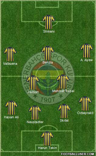 Fenerbahçe SK Formation 2018