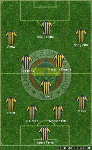 Fenerbahçe SK Formation 2018