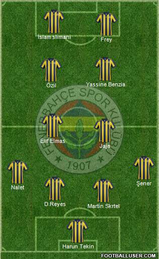 Fenerbahçe SK Formation 2018