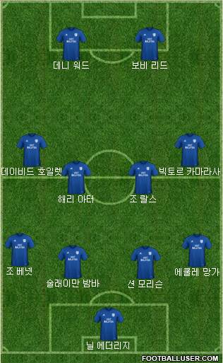 Cardiff City Formation 2018