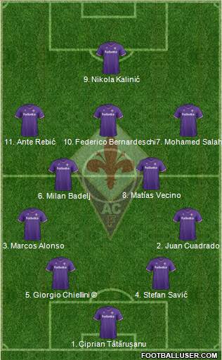 Fiorentina Formation 2018