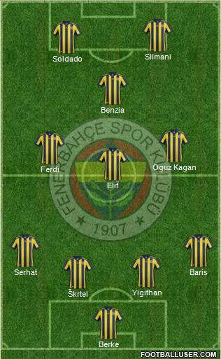 Fenerbahçe SK Formation 2018