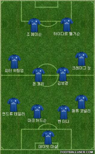 Cardiff City Formation 2018