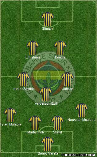 Fenerbahçe SK Formation 2018
