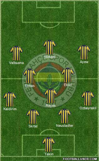 Fenerbahçe SK Formation 2018
