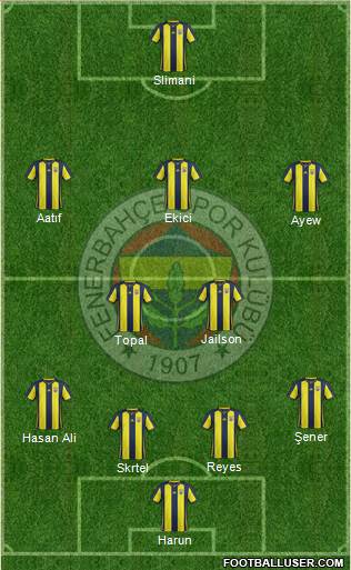 Fenerbahçe SK Formation 2018