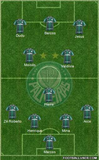 SE Palmeiras Formation 2018