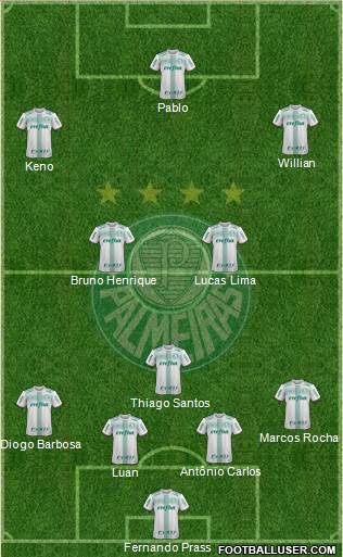 SE Palmeiras Formation 2018