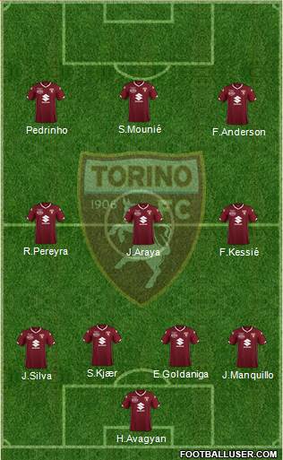 Torino Formation 2018