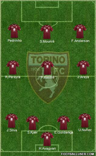Torino Formation 2018