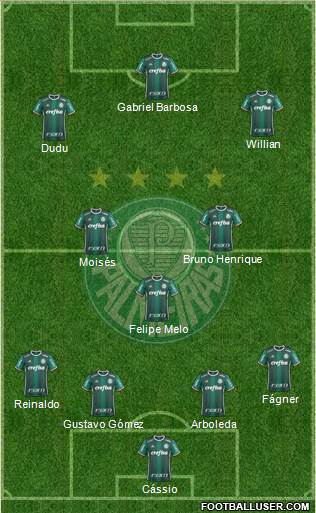 SE Palmeiras Formation 2018