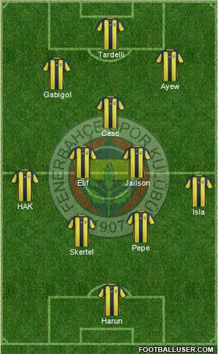 Fenerbahçe SK Formation 2018