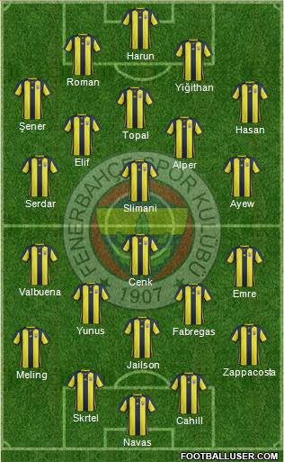 Fenerbahçe SK Formation 2018