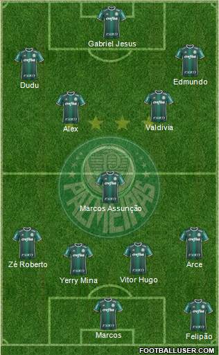 SE Palmeiras Formation 2018