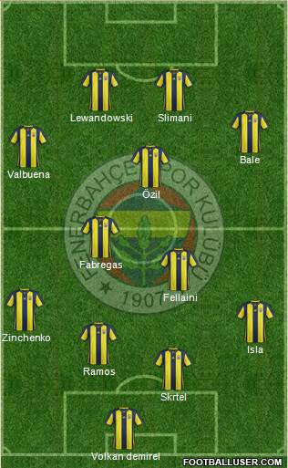 Fenerbahçe SK Formation 2018